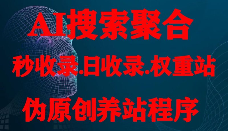 站群程序出售：构建营销网络的新模式